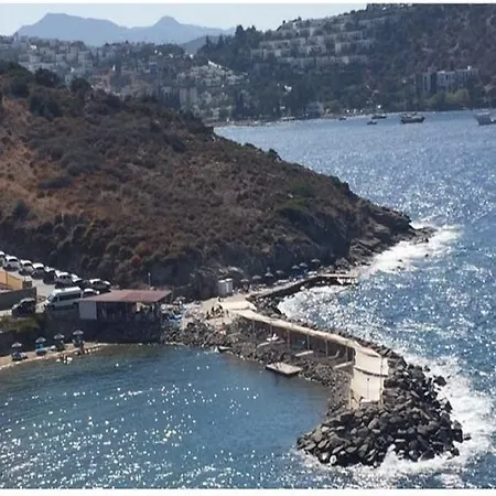 Sukriye غولتوركبوكو