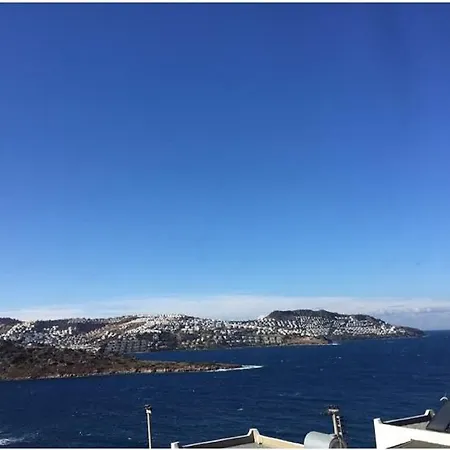 فيلة Sukriye